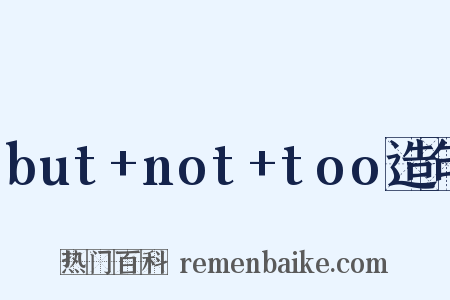 but+not+too造句是什么意思的图片